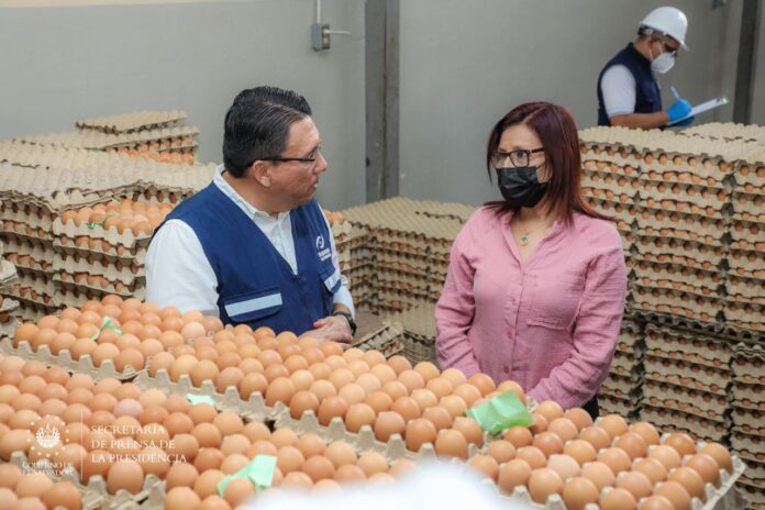 Imagen de referencia.