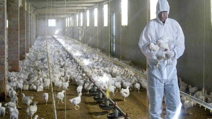 Imagen de referencia. Imagen de referencia.