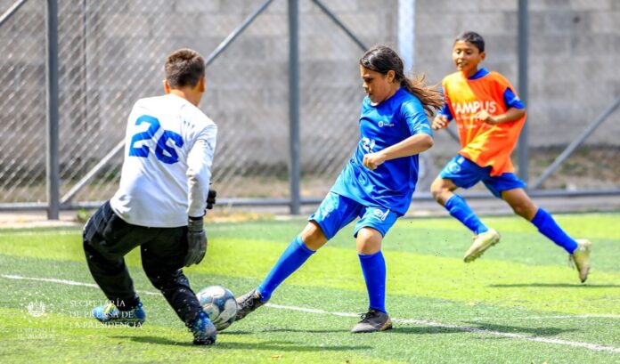 FpgflvDXsBsZINl Imagen de referencia.