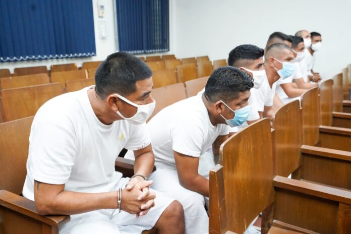 Imagen de referencia.