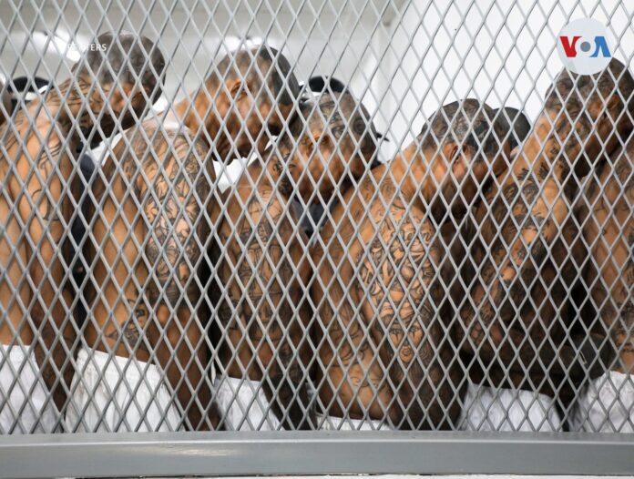 Imagen de referencia.