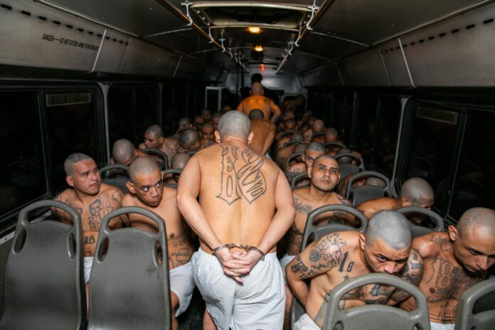 2,000 pandilleros son trasladados al nuevo Centro del Confinamiento del Terrorismo, la megacárcel para estas estructuras, ubicada en San Vicente. Foto: Cortesía.- 2,000 pandilleros son trasladados al nuevo Centro del Confinamiento del Terrorismo, la megacárcel para estas estructuras, ubicada en San Vicente. Foto: Cortesía.-