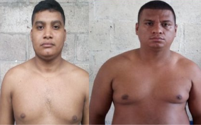 Imagen de referencia. Imagen de referencia.