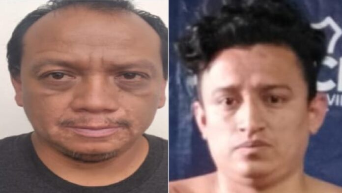 Imagen de referencia.