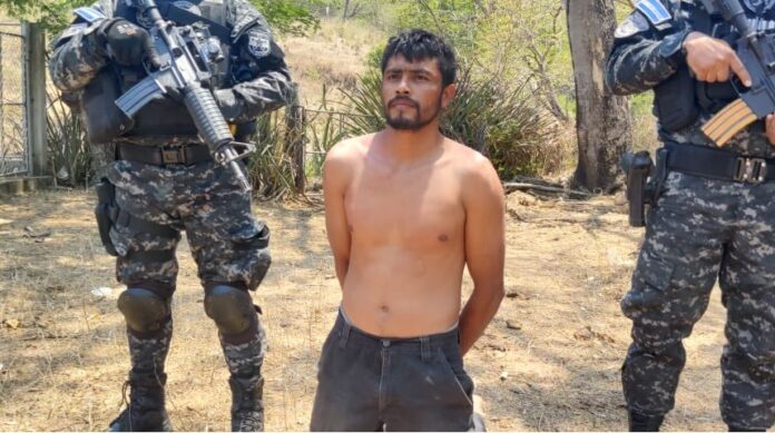 Fs-NyDoWYAAWVH4 Imagen de referenci