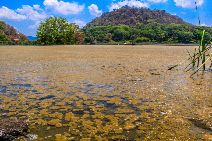 Lago de Coatetepeque. Foto: Cortesía. Lago de Coatetepeque. Foto: Cortesía.