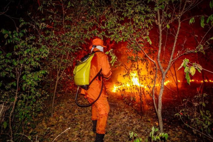 Incendio. Foto: Cortesía. Incendio. Foto: Cortesía.