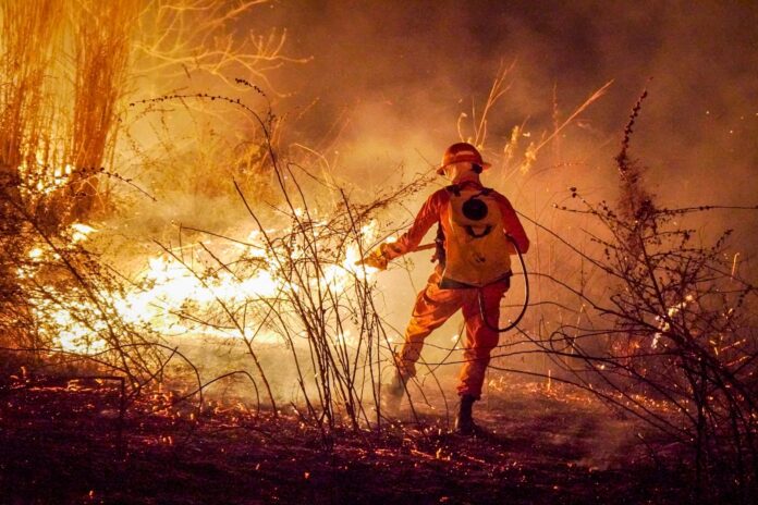 Incendio. Foto: Cortesía.Incendio. Foto: Cortesía. Incendio. Foto: Cortesía.
