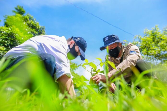 Imagen de Cortesía. Imagen de Cortesía.