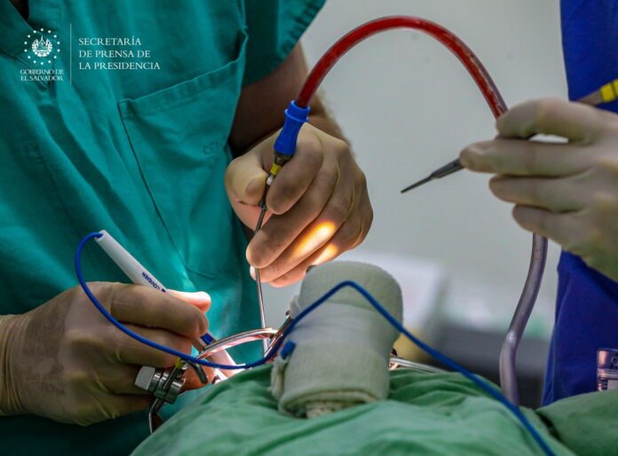 Imagen de referencia. Imagen de referencia.