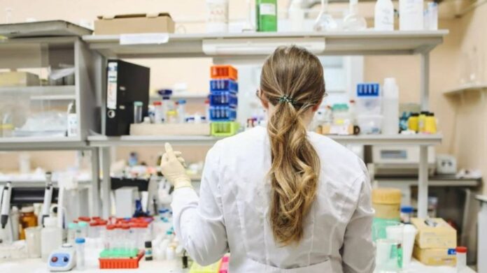 Imagen de referencia.