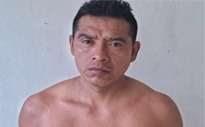 Imagen de referencia.