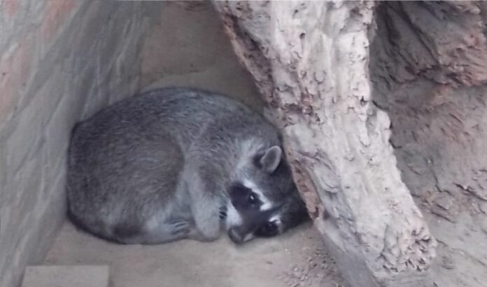 Imagen de referencia. Imagen de referencia.