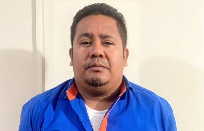 Imagen de referencia.