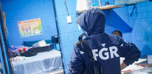 Imagen de referencia.