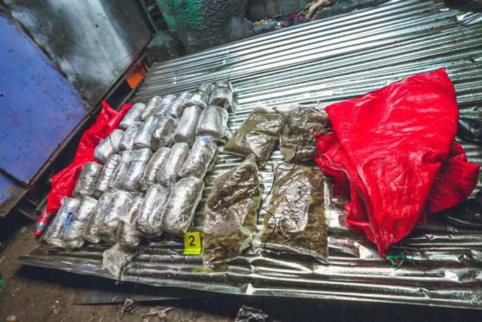 Imagen de Cortesía. Imagen de Cortesía.