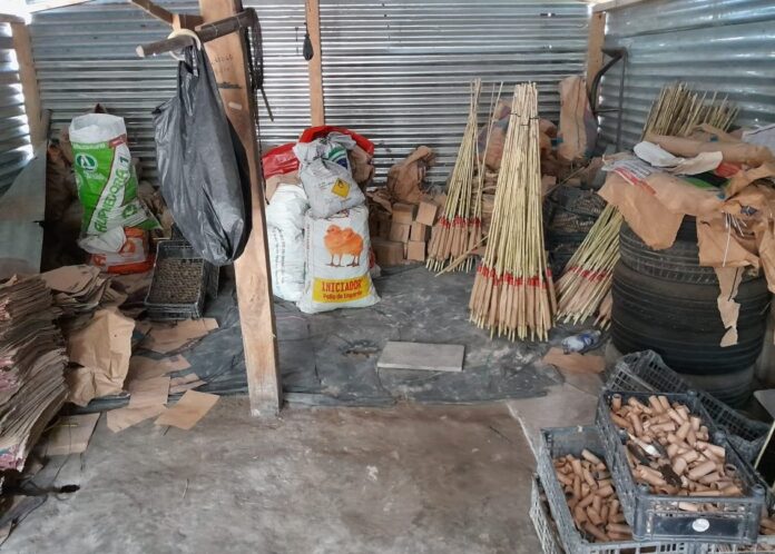 Imagen de cortesía. Imagen de cortesía.