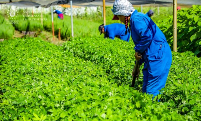 358700845_624808773156720_7561212389654522971_n