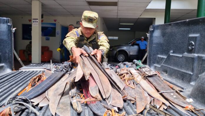 Imagen de Cortesía.