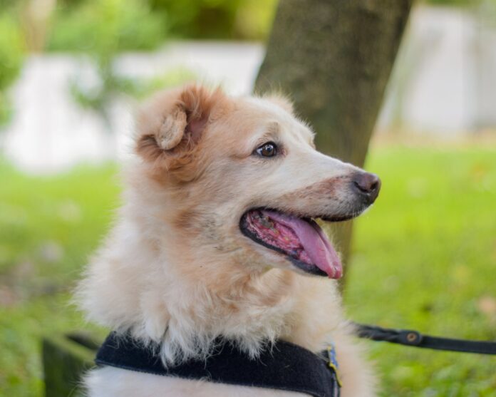 Imagen de Cortesía.