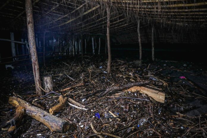 Imagen de Cortesía. Imagen de Cortesía.