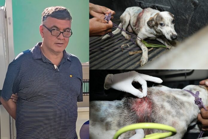 Imagen de Cortesía. Imagen de Cortesía.