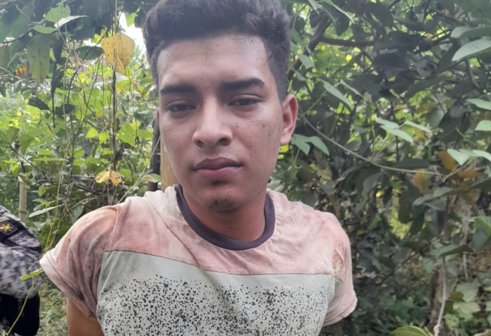 Imagen de Cortesía.