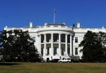 Senadores demócratas se muestran dispuestos a poner fin al cierre gubernamental más prolongado en EE. UU. si logran concesiones de la Casa Blanca Imagen de referencia. Foto: Cortesía.