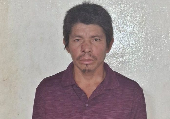 Foto: Cortesía. Foto: Cortesía.