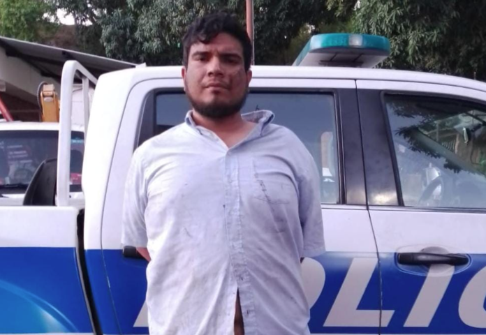 Foto: Cortesía. Foto: Cortesía.