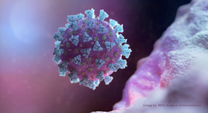 Una imagen de archivo computarizada creada por Nexu Science Communication junto con el Trinity College en Dublín, muestra un modelo estructuralmente representativo de un betacoronavirus, que es el tipo de virus vinculado a la COVID-19.