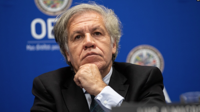 Secretario General de la Organización de Estados Americanos (OEA), Luis Almagro. Foto: Cortesía.