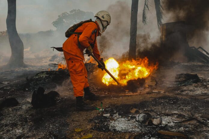 Imagen de referencia. Foto: Cortesía.