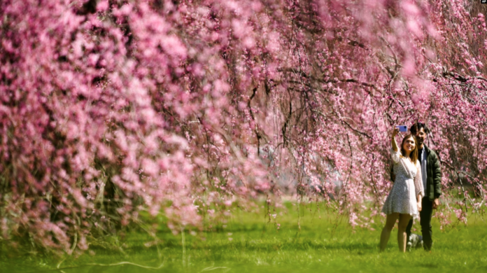 Captura de pantalla 2024-03-24 a la(s) 17.49.58