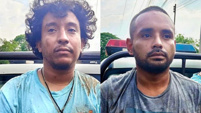 8e86c71b-0e6c-4b5c-a1a1-fef51d019cac