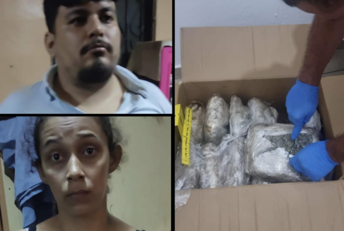 Captura de pantalla 2024-06-08 a la(s) 14.26.34