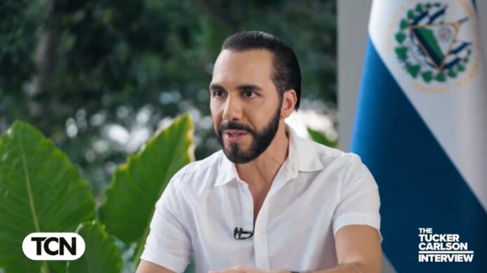 Nayib Bukele, Presidente. Imagen de cortesía.