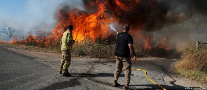 WhatsApp Image 2024-07-04 at 8.48.22 AM (1)