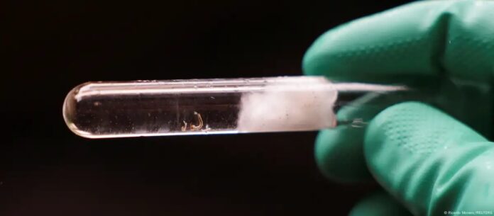 WhatsApp Image 2024-07-26 at 10.39.33 AM (3)