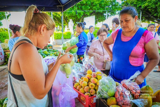 WhatsApp Image 2024-07-26 at 9.32.02 AM