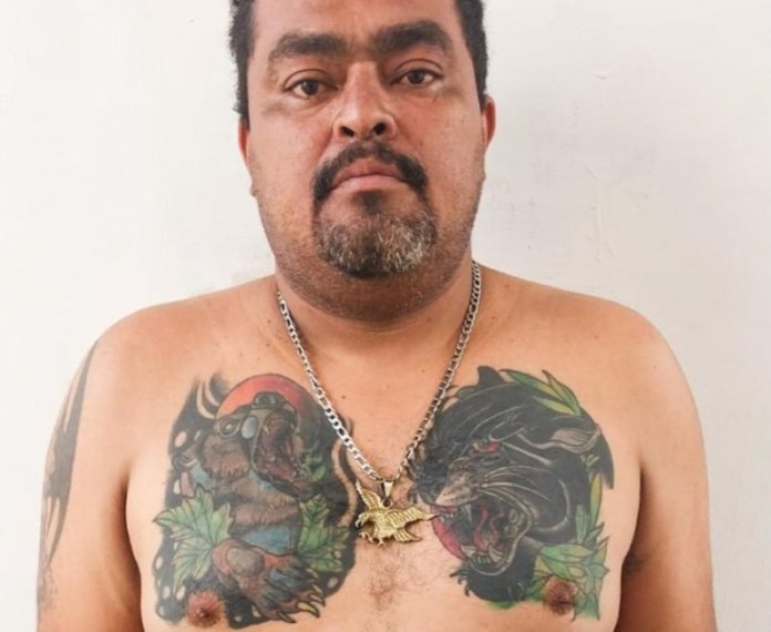 WhatsApp Image 2024-07-30 at 10.35.15 AM (1)