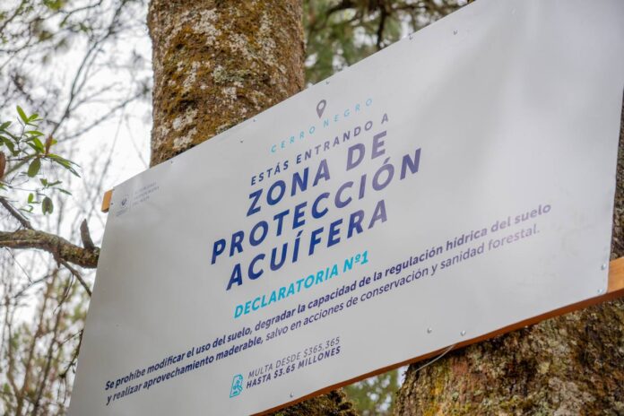 photo_4938347929903672443_y