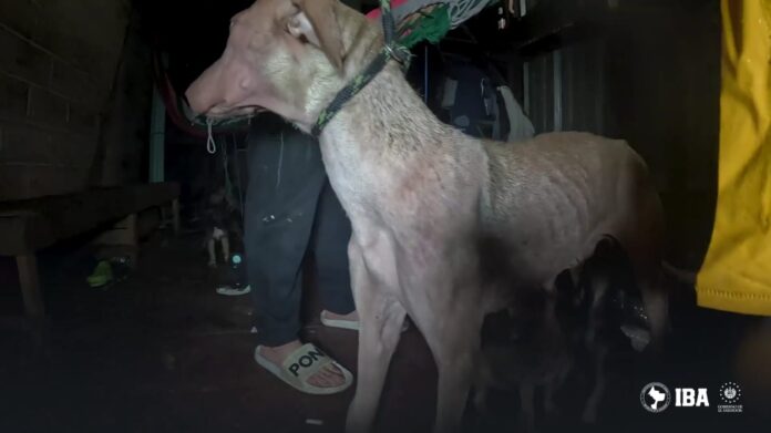 45b57c7c-8d12-49b2-a671-a11cb7d5ffc7