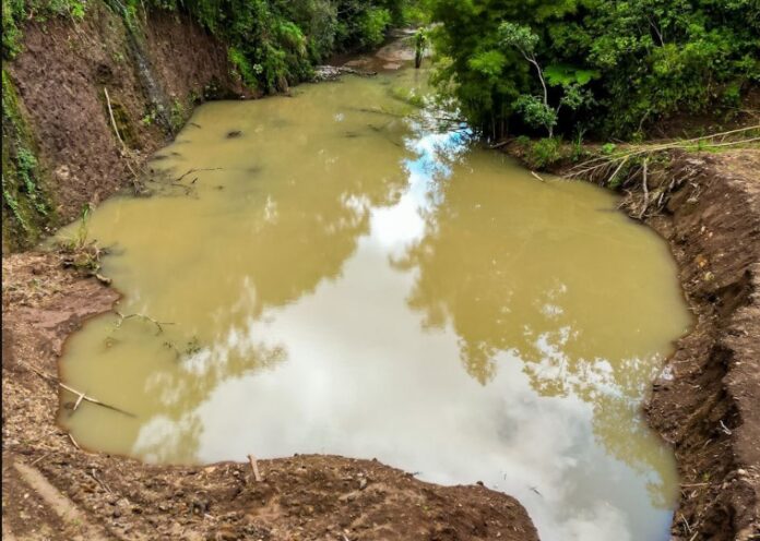 Captura de pantalla_15-8-2024_95847_pbs.twimg.com