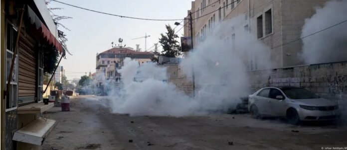 Captura de pantalla_6-8-2024_75710_www.dw.com