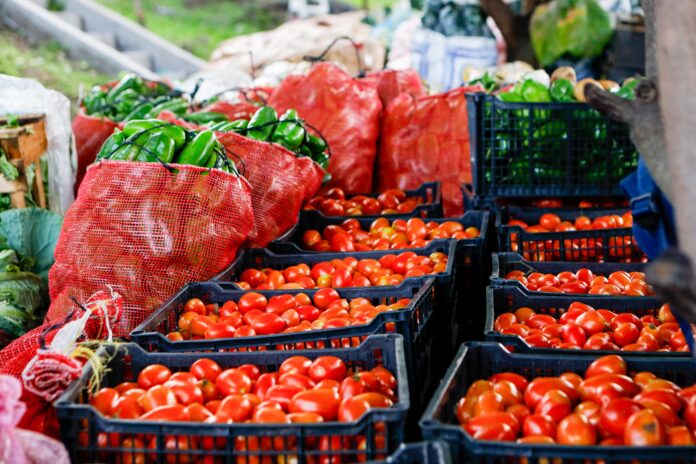 Verduras, vegetales, Agro Mercado, tomtes