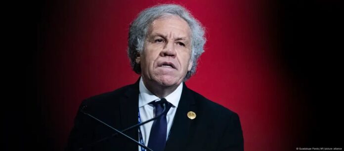 WhatsApp Image 2024-08-01 at 10.39.32 AM (3)