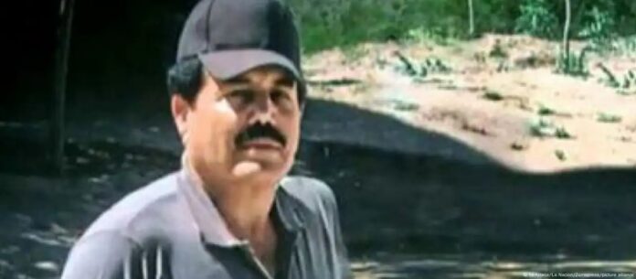 WhatsApp Image 2024-08-16 at 6.51.03 AM (7)