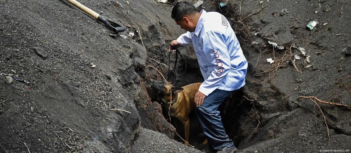 WhatsApp Image 2024-08-22 at 7.48.00 AM (5)