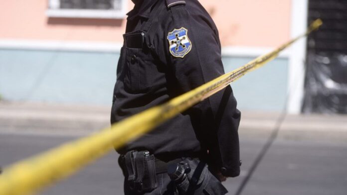 photo_5003822915329829711_x